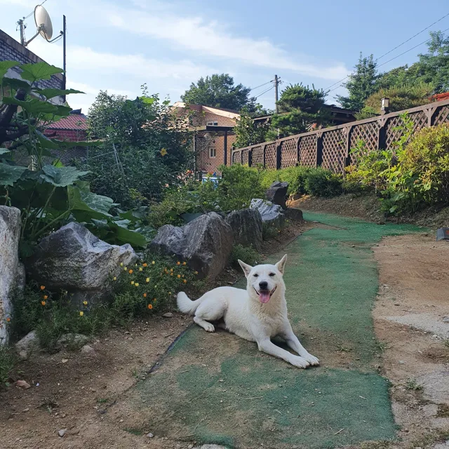 산유화