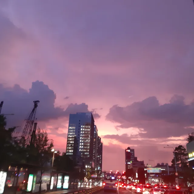 골든레이뤼