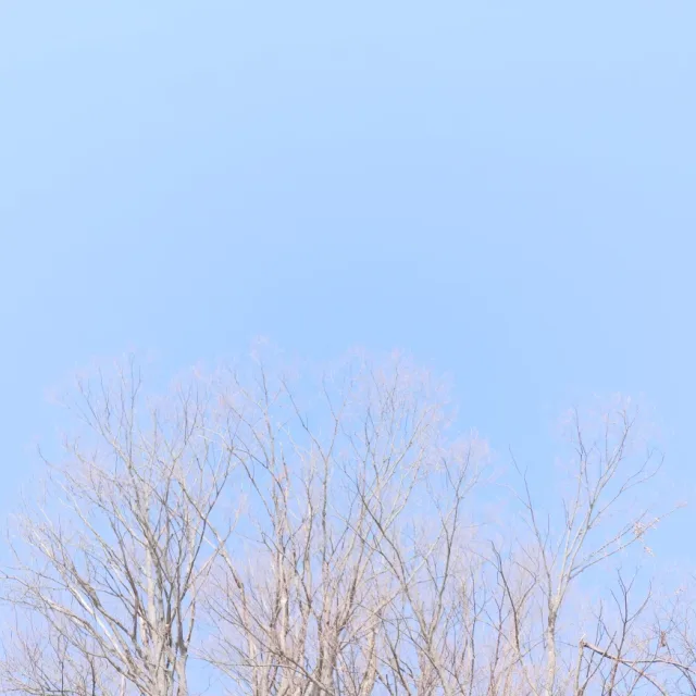 인생을즐겁게