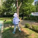난이네