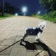 찐빵이