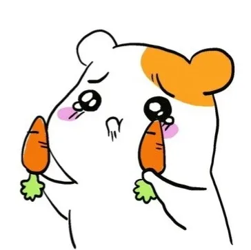 당근당근