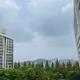 풋사랑