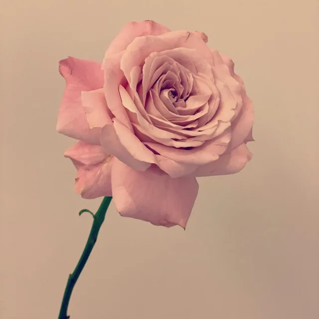 반짝반짝