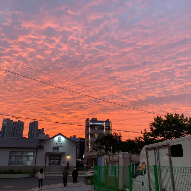헬린이