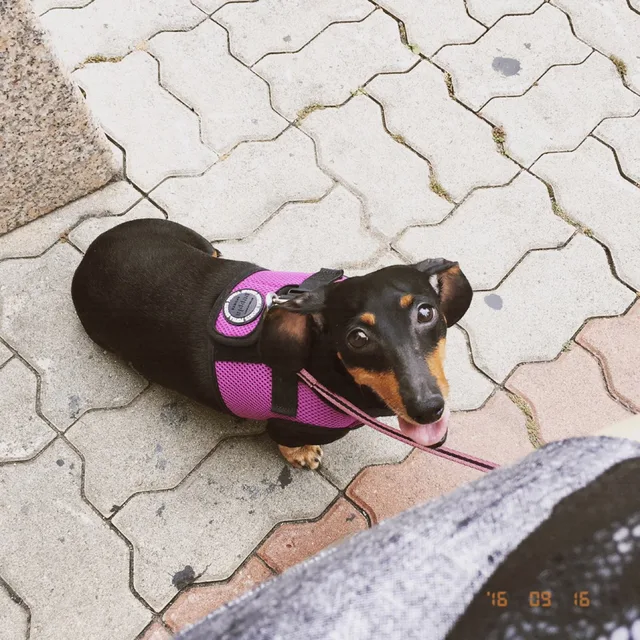초바라레