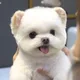 오복