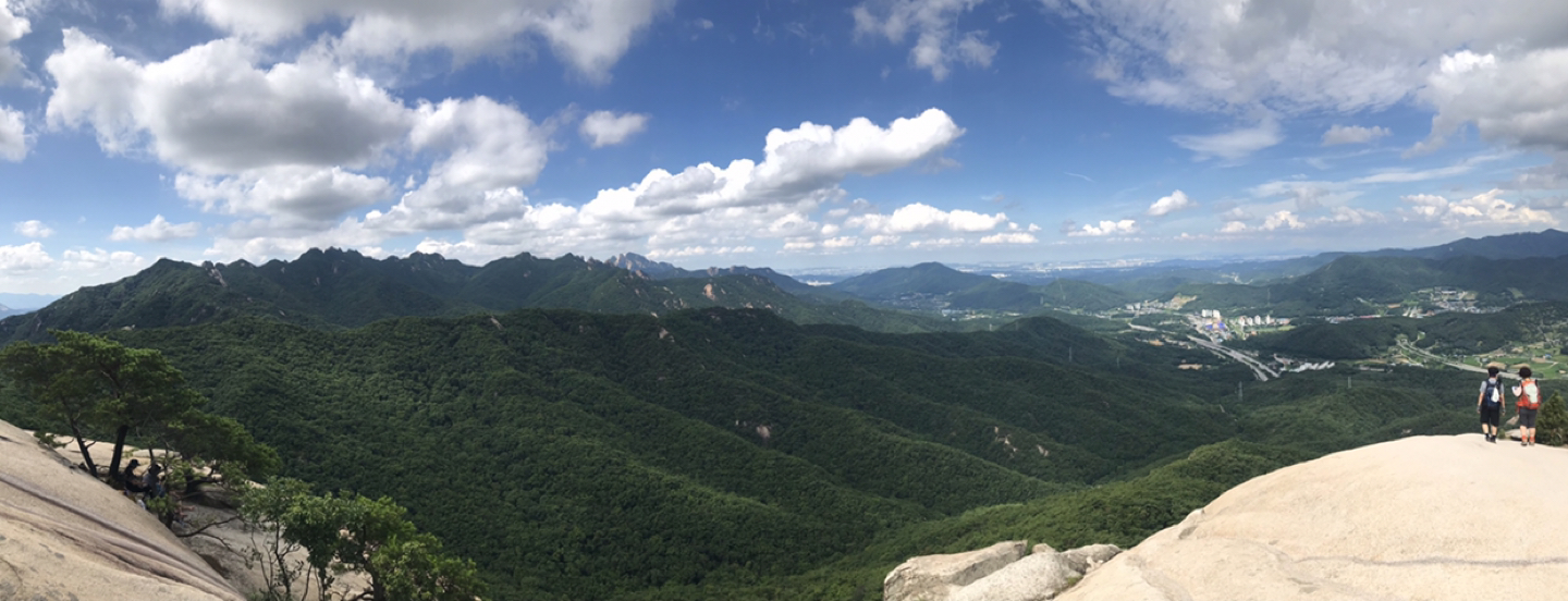 돌돌이