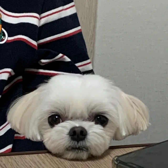 또링링링