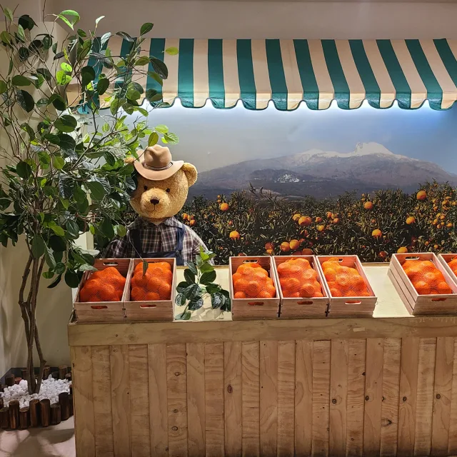 합정동바보