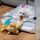 판단이