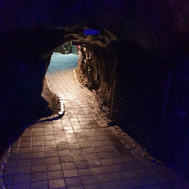 당그니주