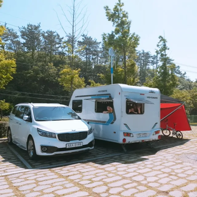 profile