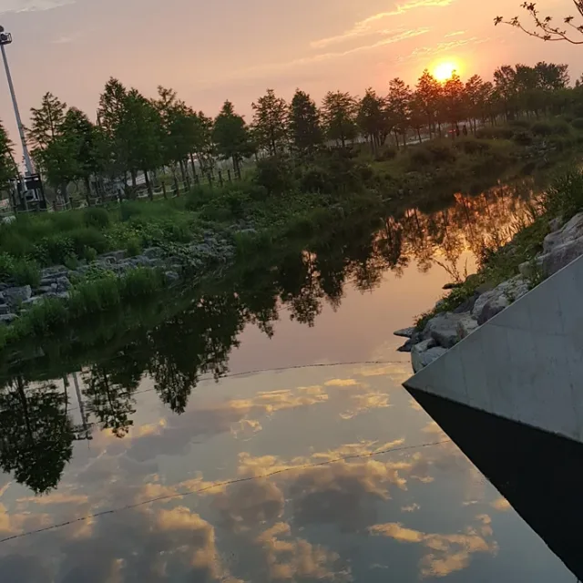 노루귀
