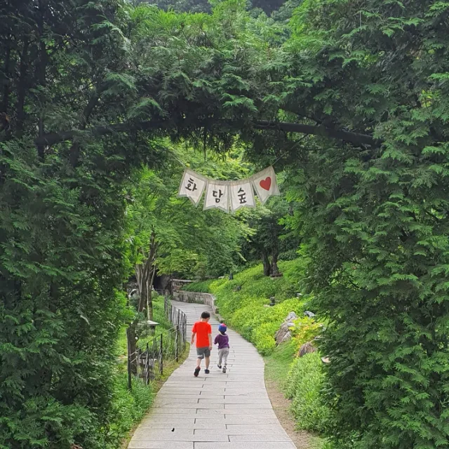 아침햇살