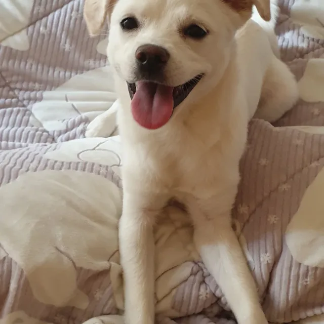 몽이네보물샵