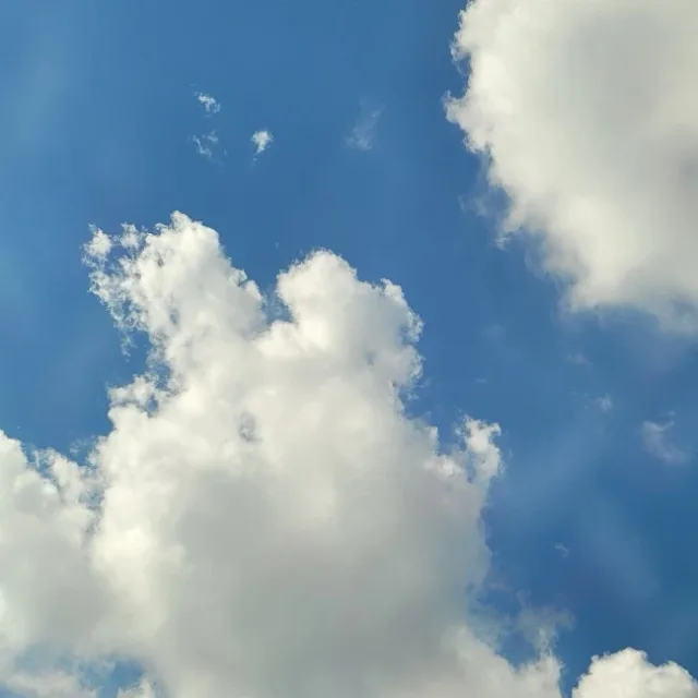 당근조아유