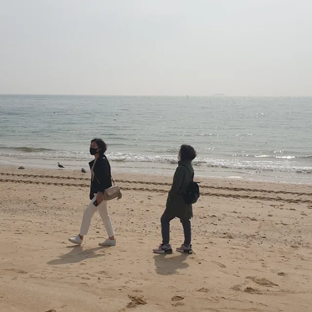 젤리