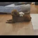 달설아빠