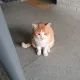 닥터k