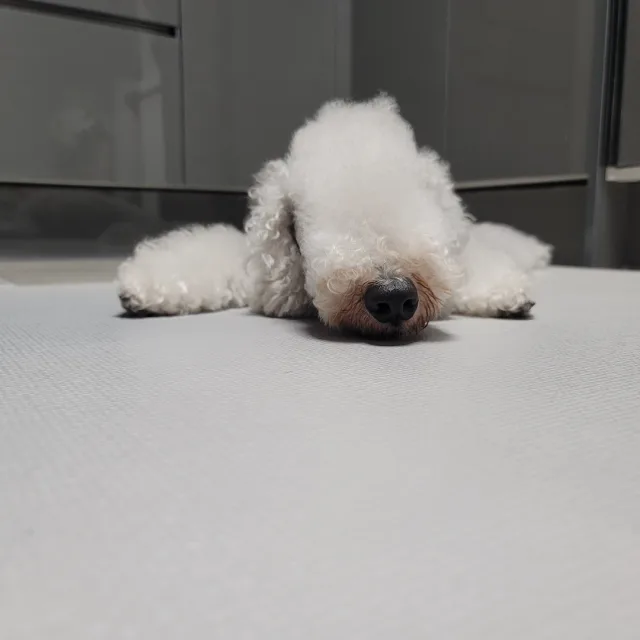 마석도