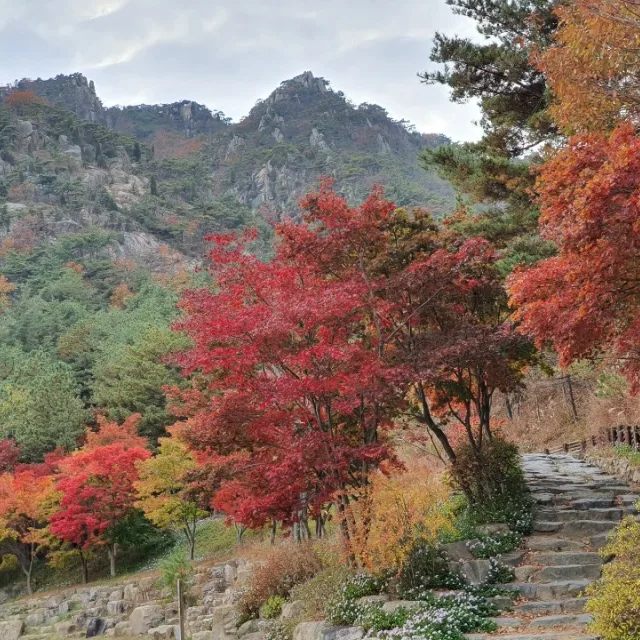용봉산