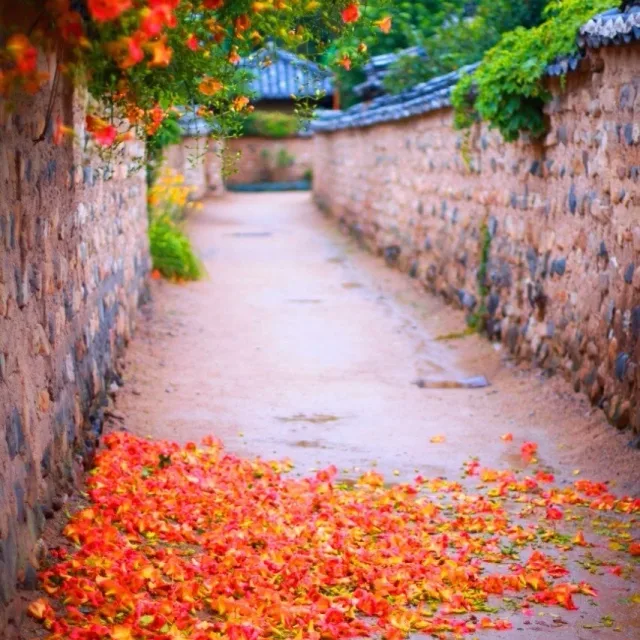 정화
