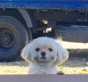 콩쿙