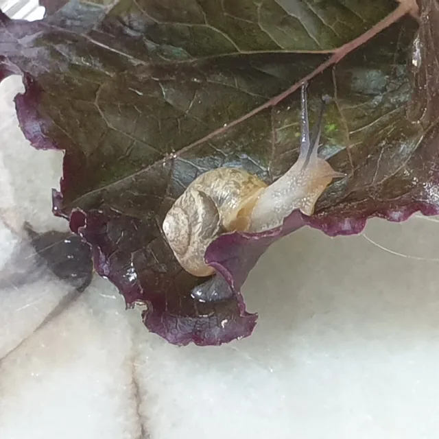 주땡이아빠