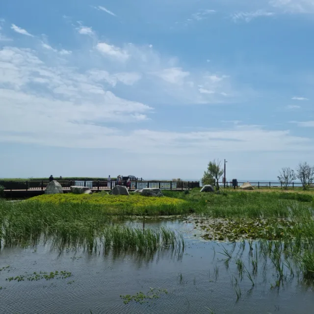 오드리