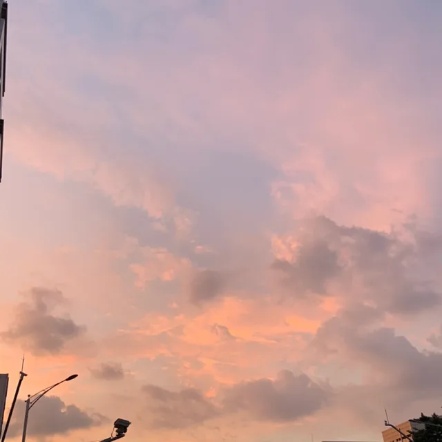 초코순이
