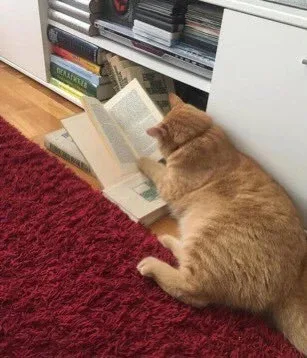 아침의사과