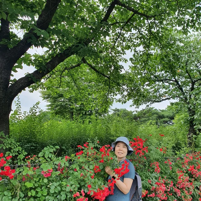 용용