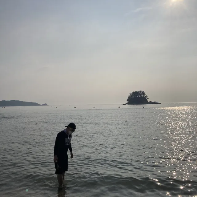 매화
