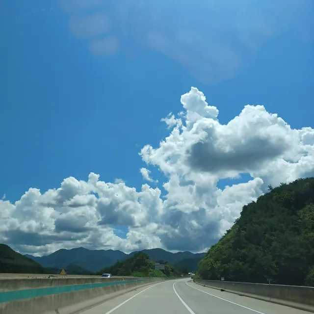 달콤씨