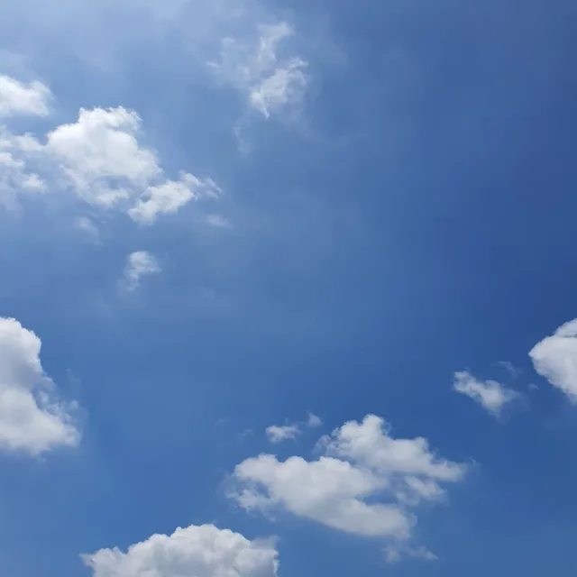 제잉