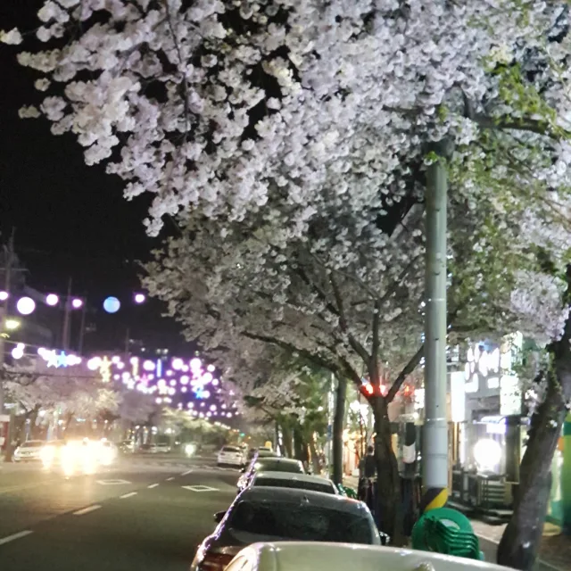 죠나단