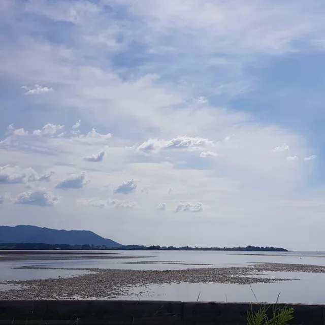 제이제이