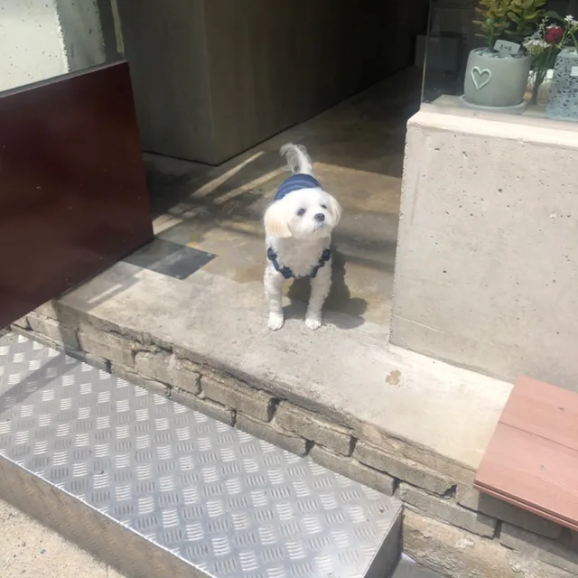 짱조림