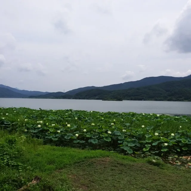 청명