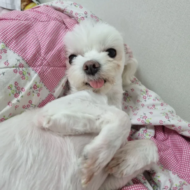 혜별로그
