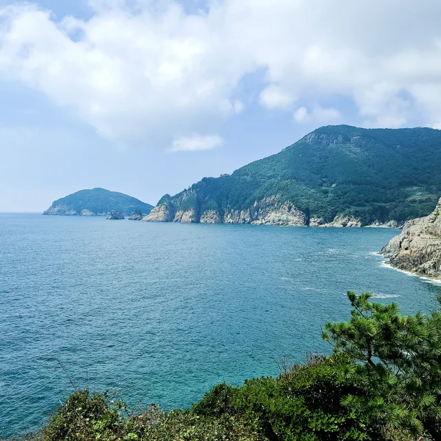 당근이쥐