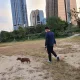 짱구