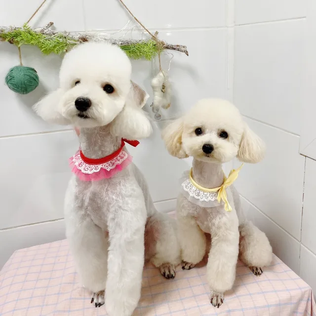 꼬뽕맘