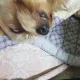 마루