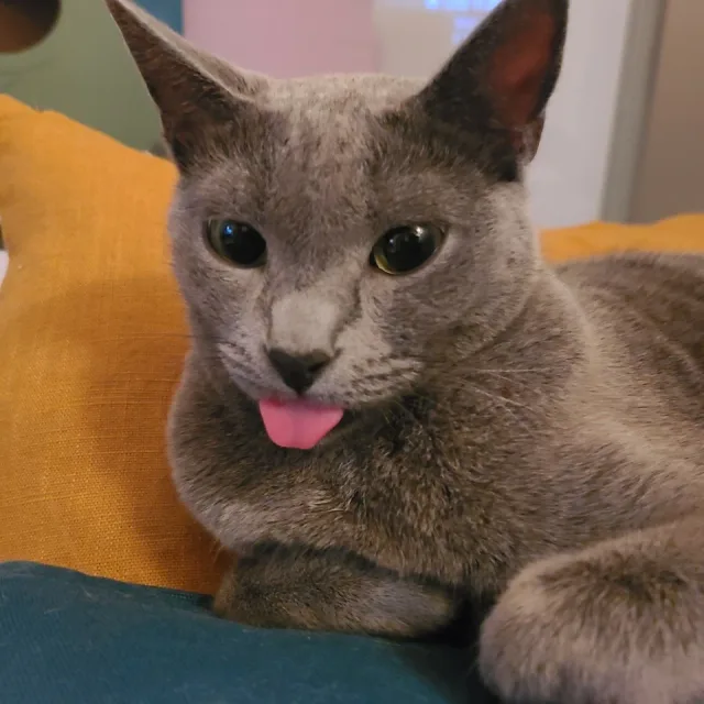봄이