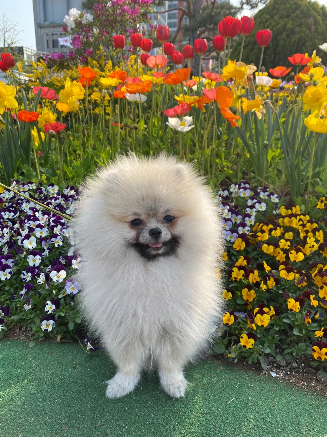 벼락