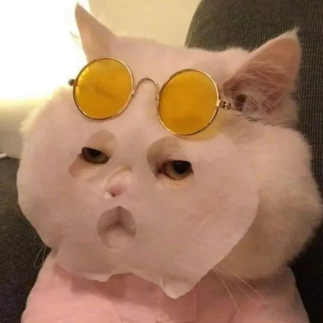 차카니
