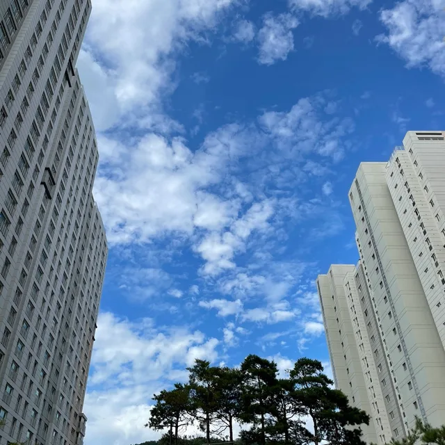 새나루마을