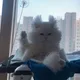 푸린